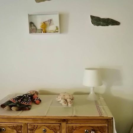 Casa Do Alto - Benfeita Bed and Breakfast Εξωτερικό φωτογραφία