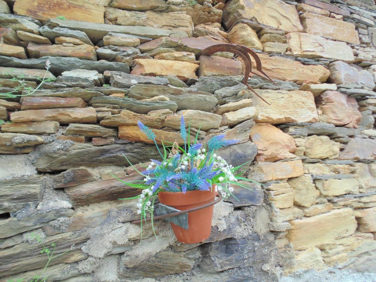 Casa Do Alto - Benfeita Bed and Breakfast Εξωτερικό φωτογραφία