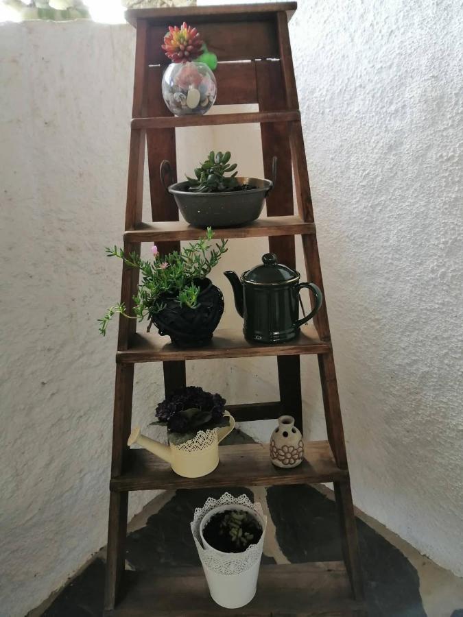 Casa Do Alto - Benfeita Bed and Breakfast Εξωτερικό φωτογραφία