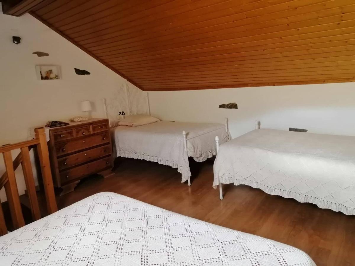 Casa Do Alto - Benfeita Bed and Breakfast Εξωτερικό φωτογραφία